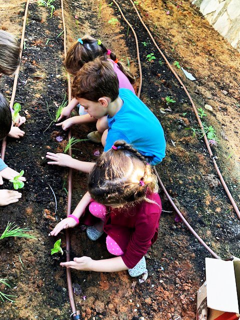 עיריית יבנה