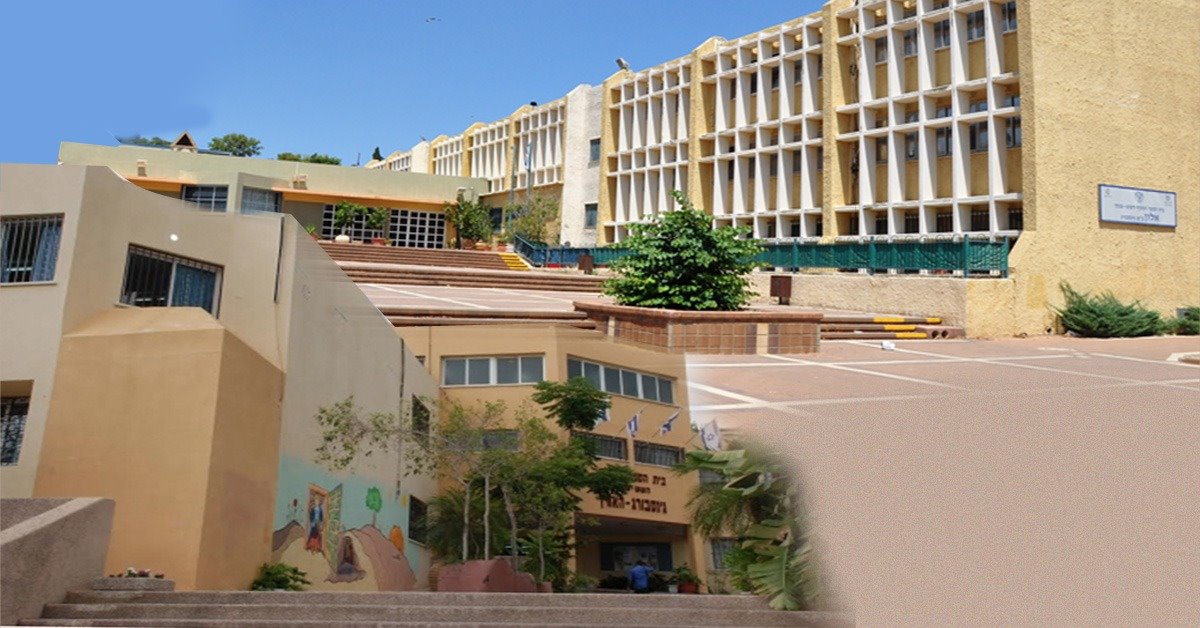 בדרך לאיחוד? האורן והאלון | צילום: יבנה נט