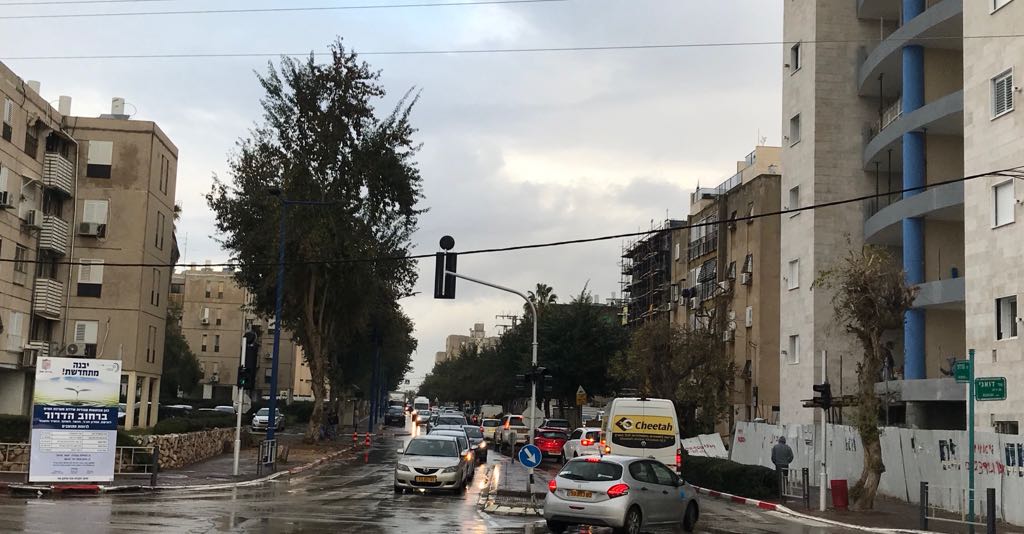 צילום: עמרם כהן