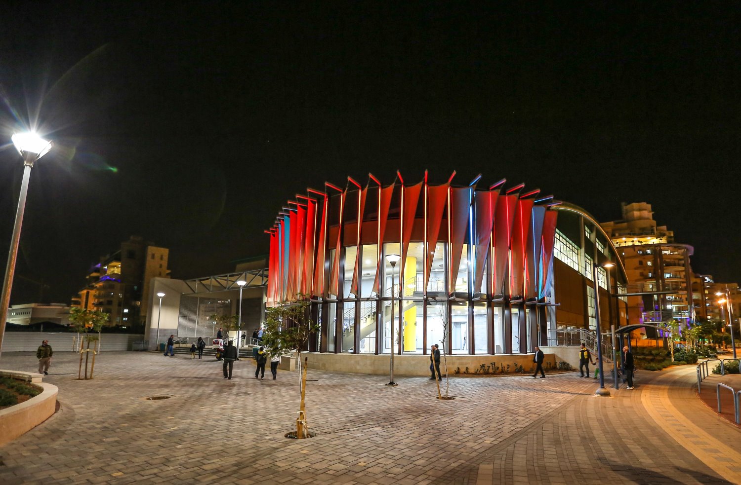 צילום: עמרם כהן