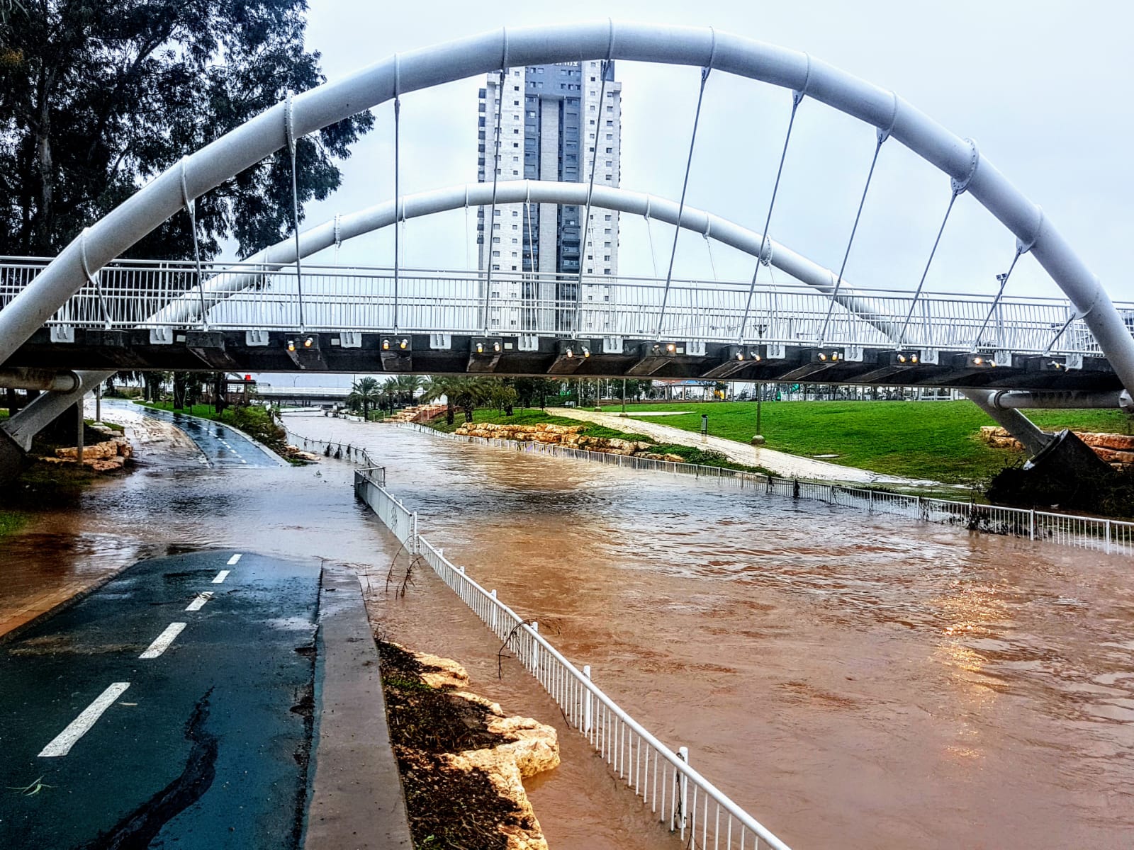 צילום: איציק גייר