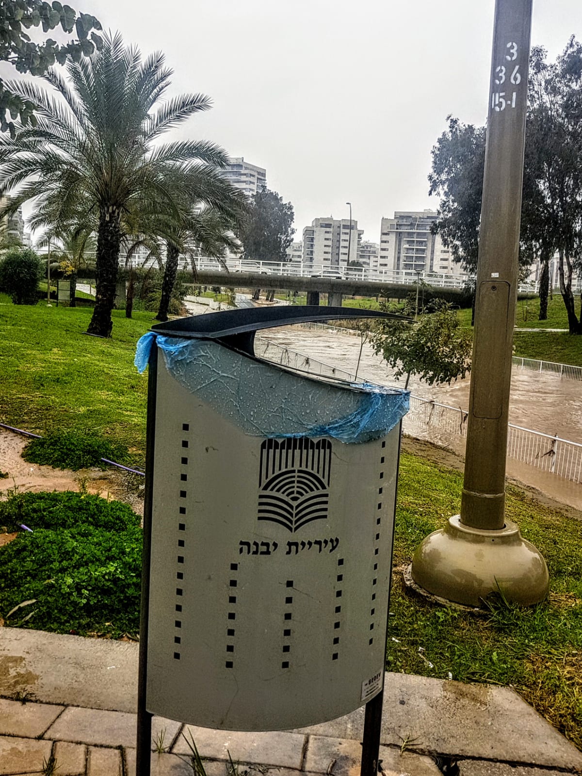 צילום: איציק גייר