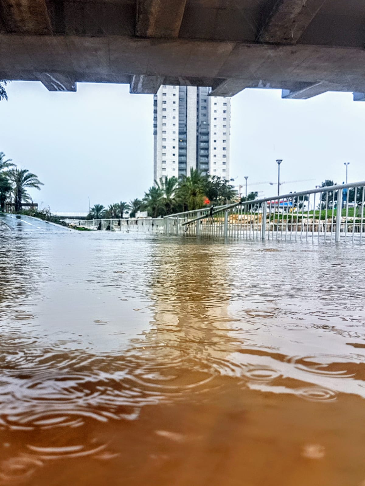צילום: איציק גייר