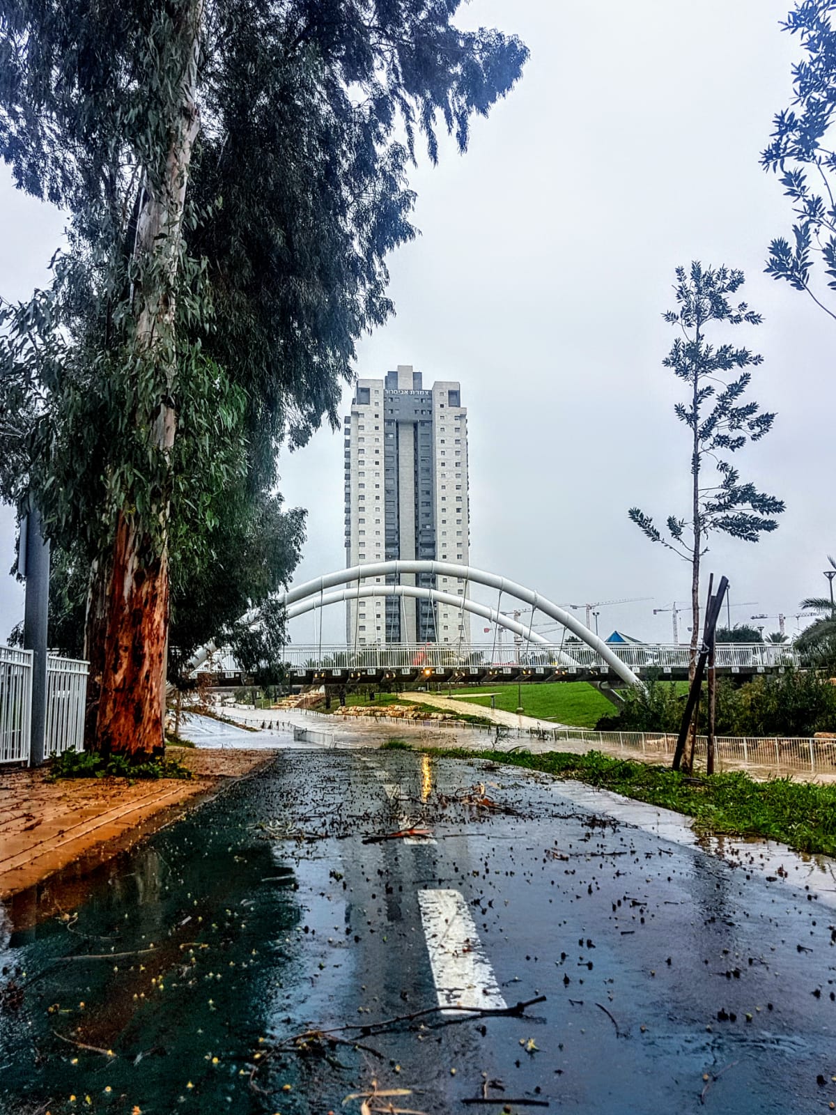 צילום: איציק גייר