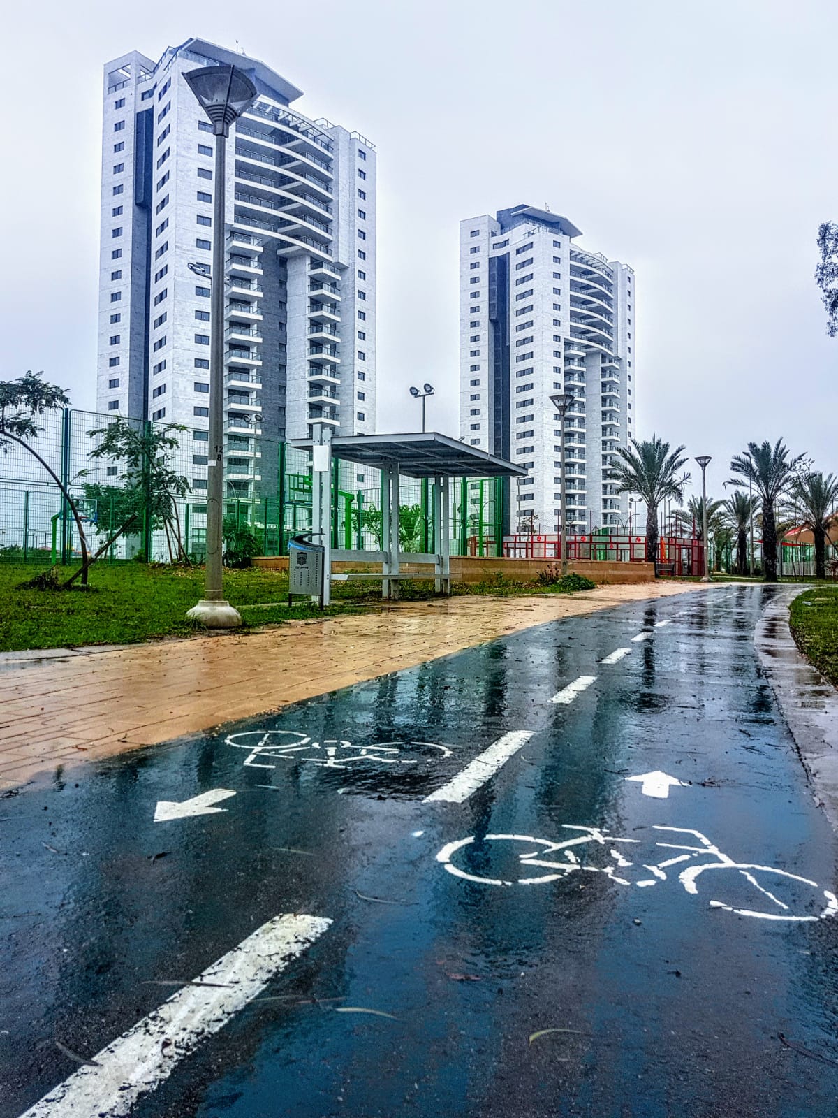 צילום: איציק גייר