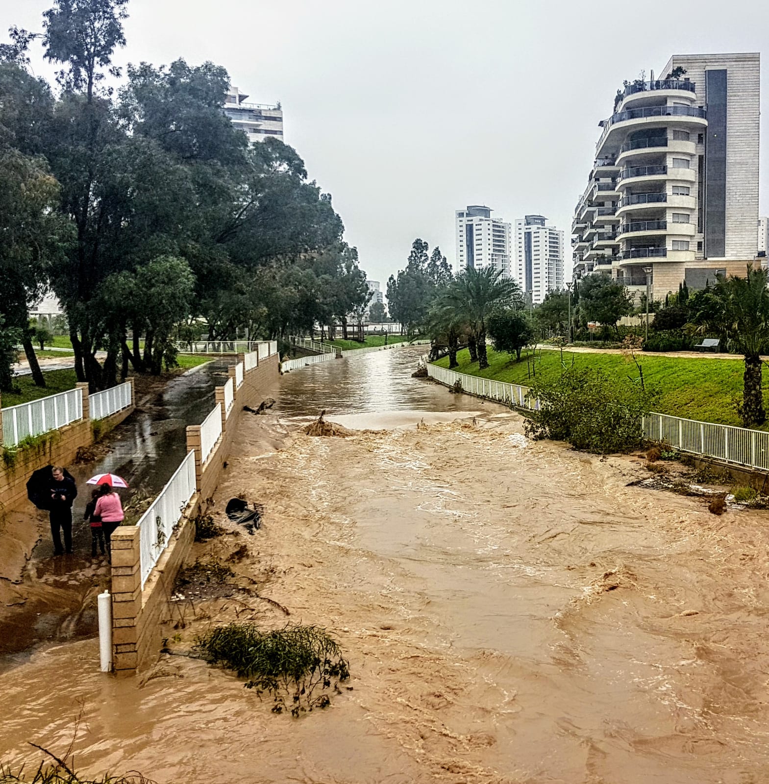צילום: איציק גייר