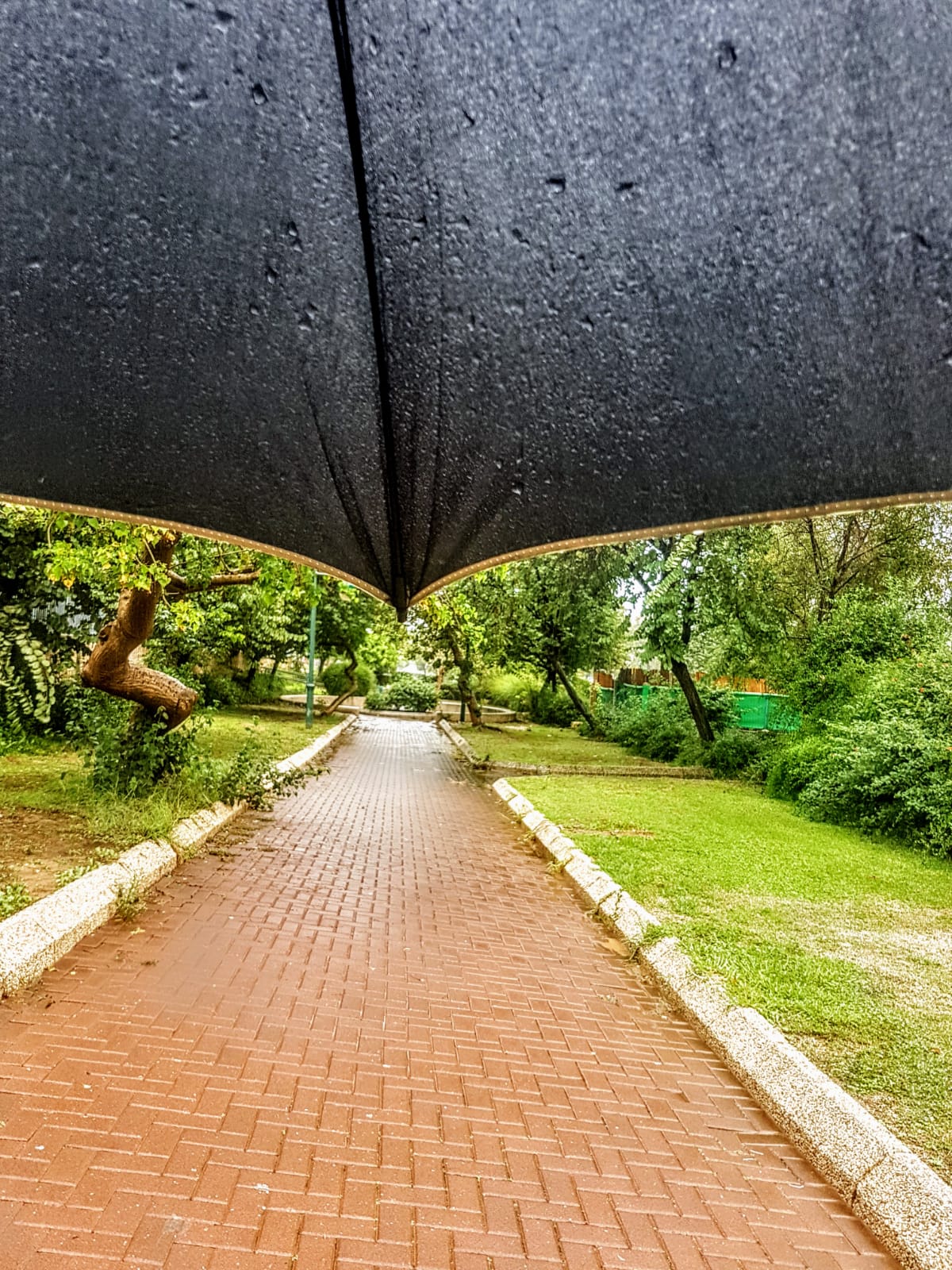 צילום: איציק גייר