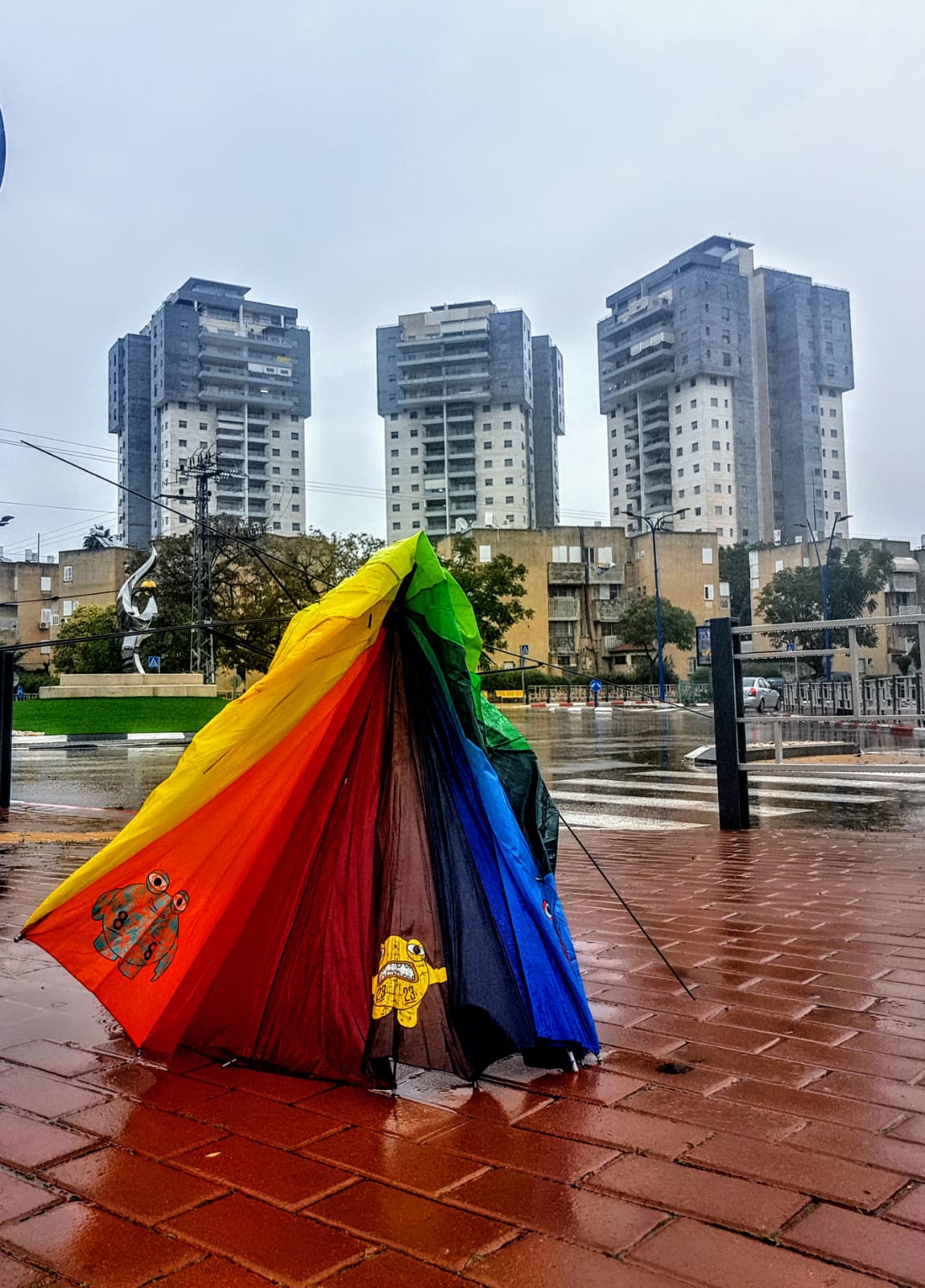 צילום: איציק גייר