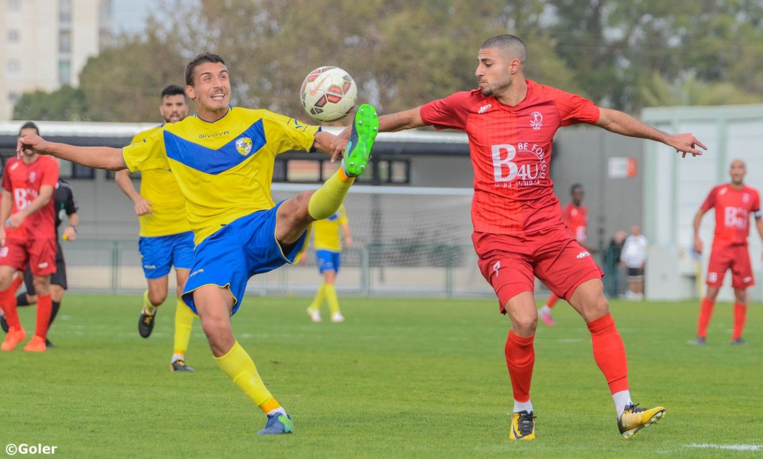 צילום: אתר גולר