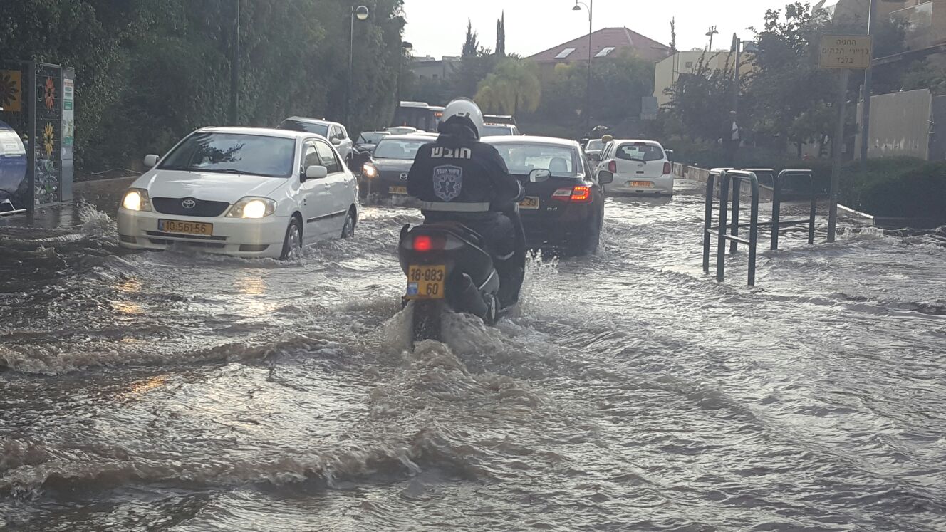 צילום: מירי הורביץ
