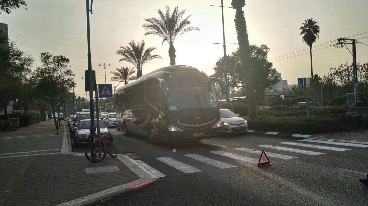 צילום: רעות בנימין