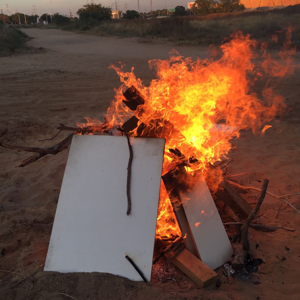 צילום: אוהד צויק