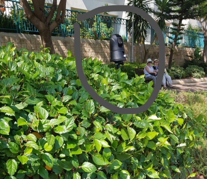 מצלמה ביבנה