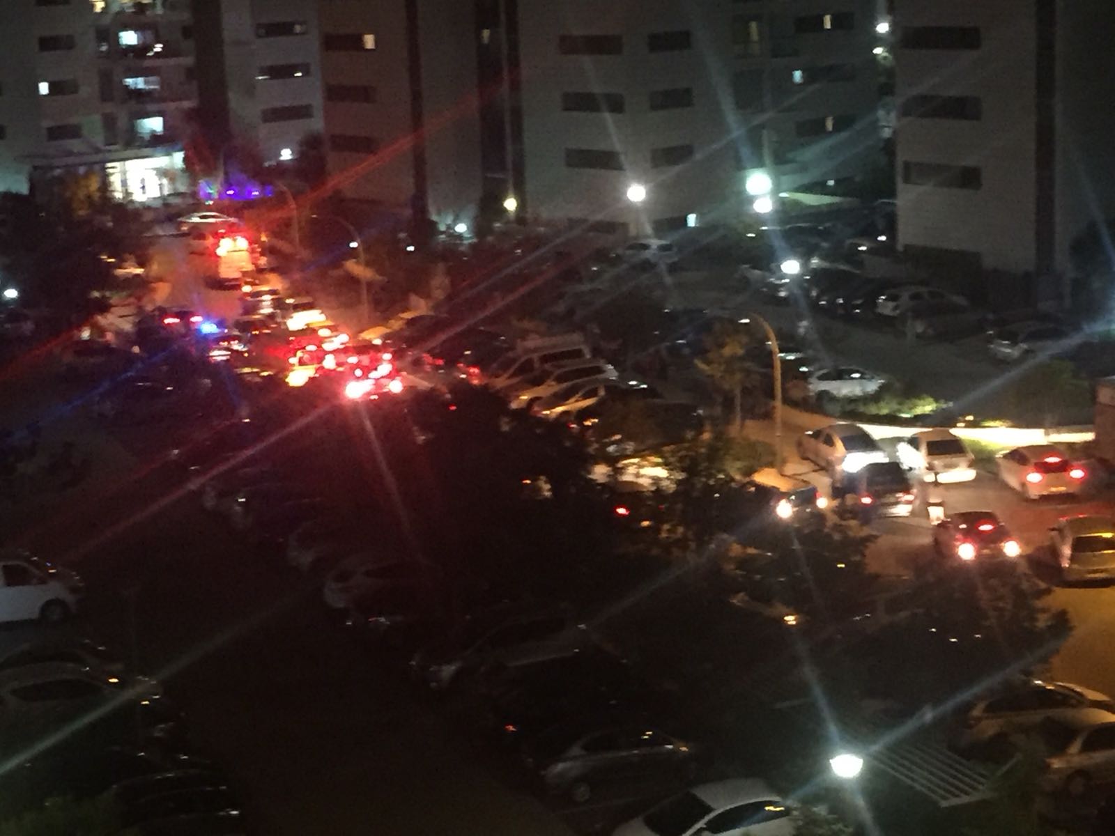 צילום: יבנה נט