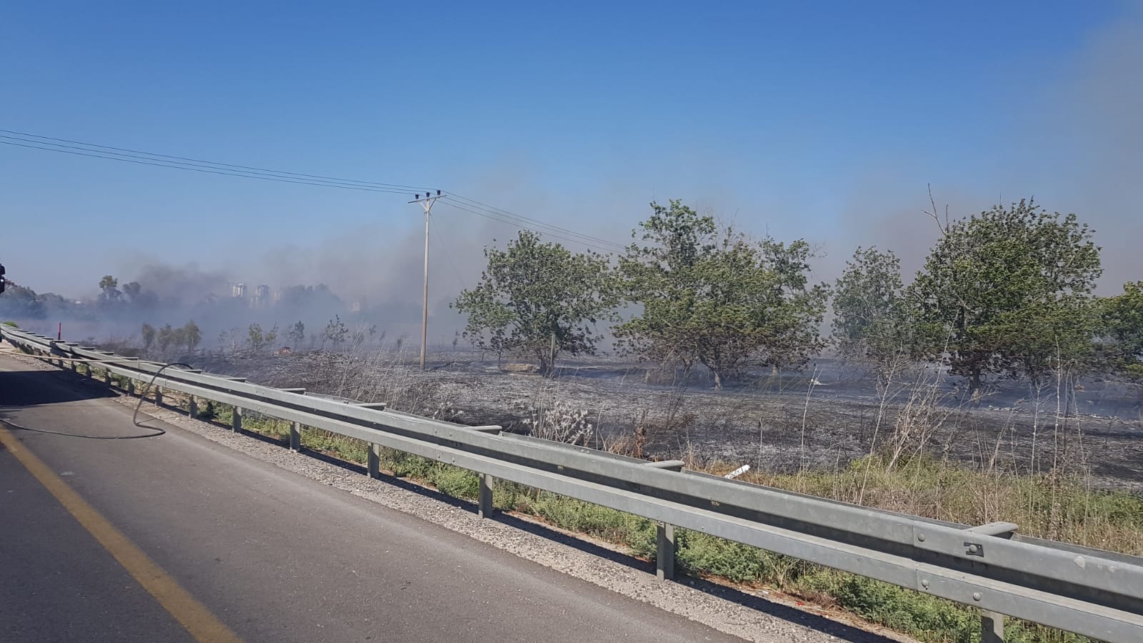 צילום: עיריית יבנה-שיטור עירוני