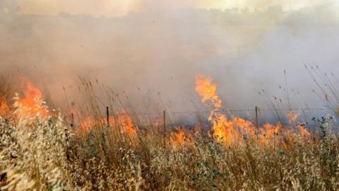 שריפה בשדה קוצים