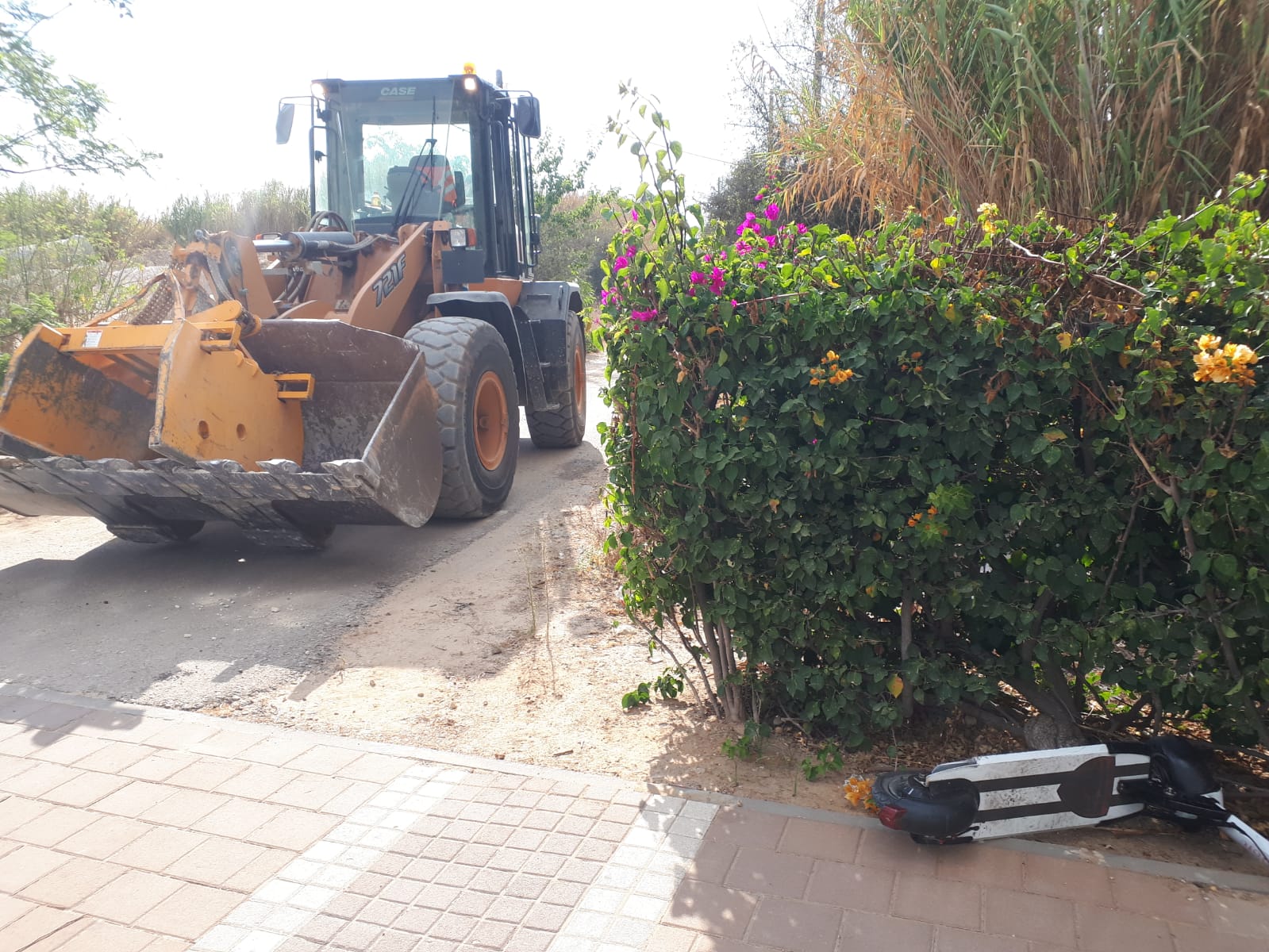 צילום: יבנה נט