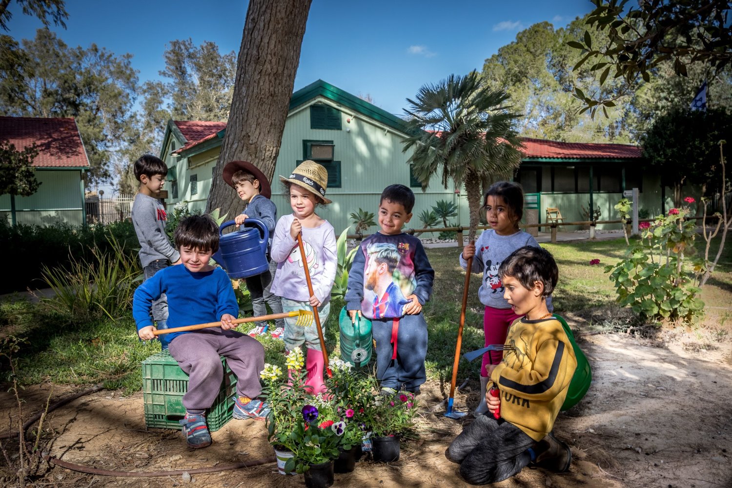 ט"ו בשבט בצריף בן גוריון. צילום: צביקה שמעיה