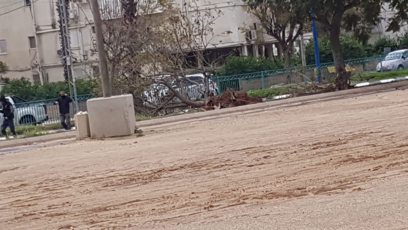 צילום: יבנה נט