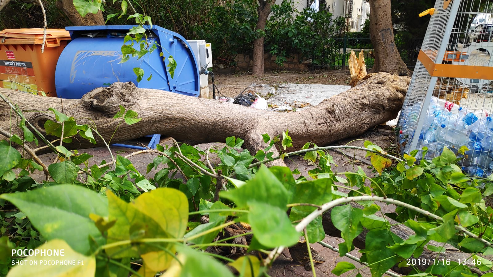 צילום: דוברות העירייה