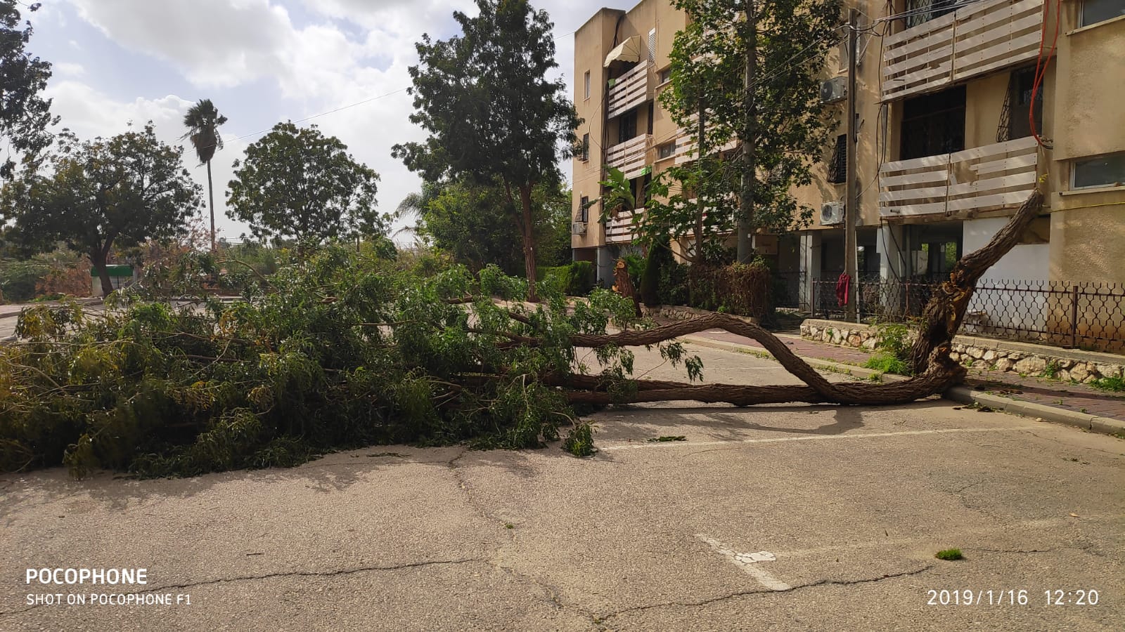צילום: דוברות העירייה