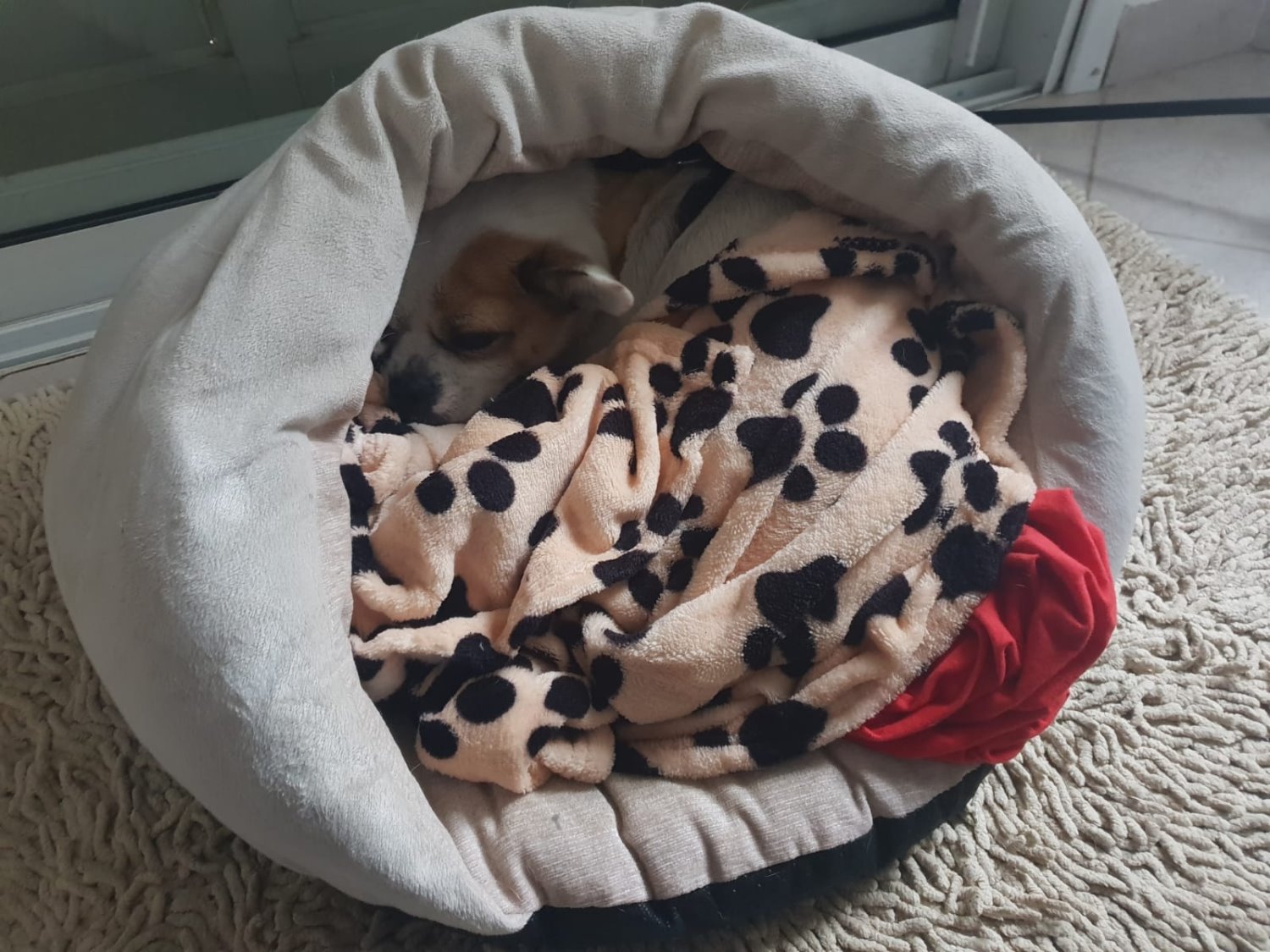 ככה הכי טוב בימים גשומים וקרים