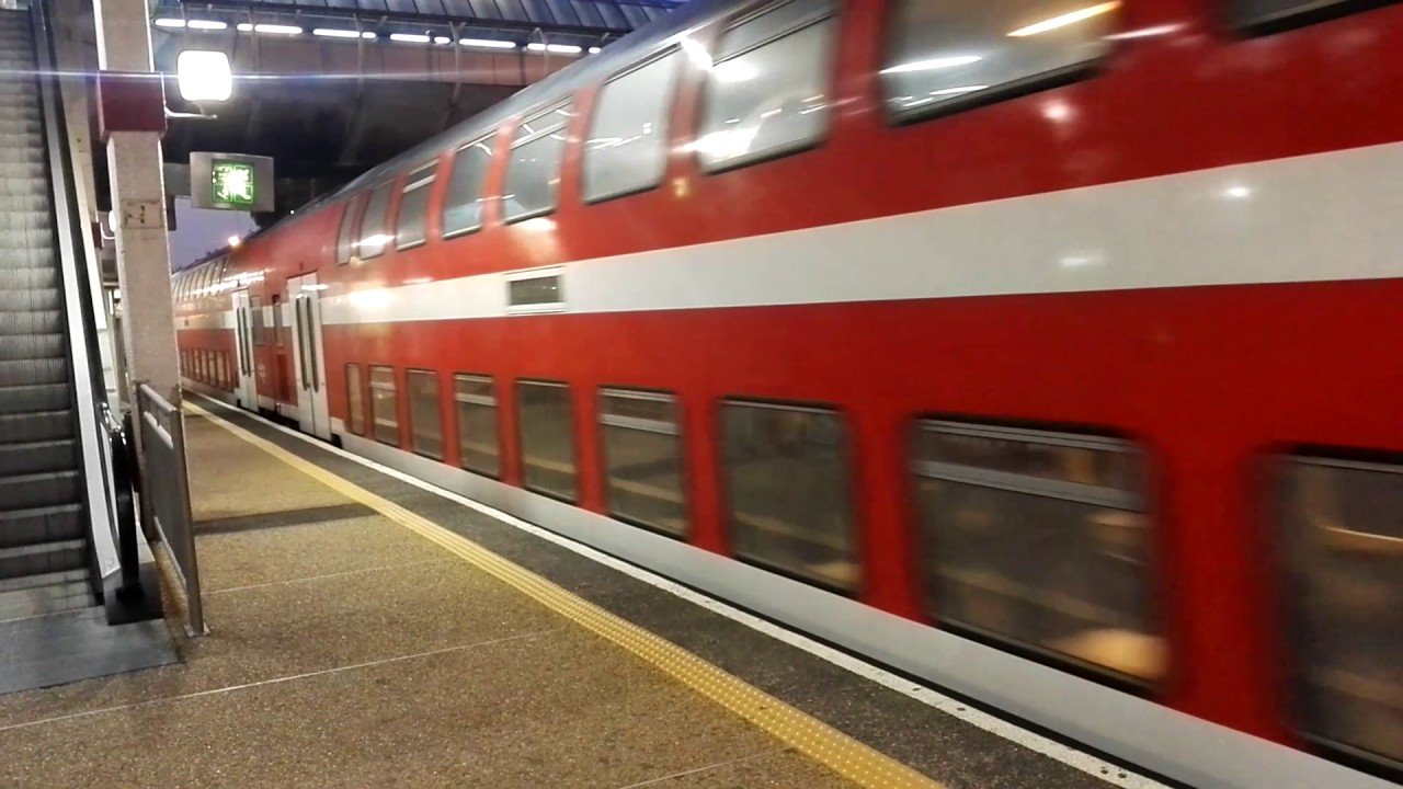 צילום ארכיון