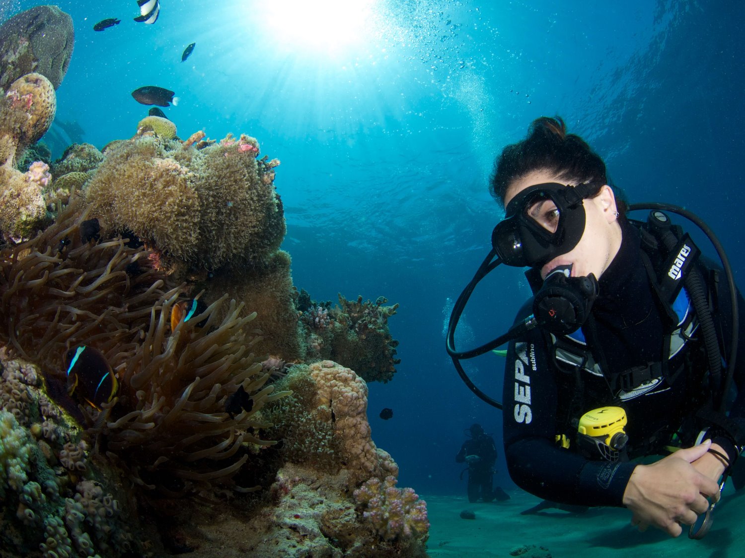 צילום: יח&quot;צ