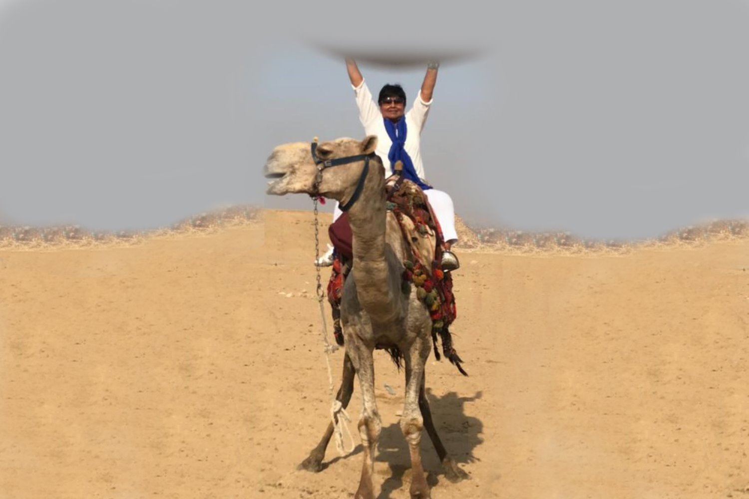 בתמונה. אורליה על הגמל שניות לפני שנפלה ממנו בחוזקה