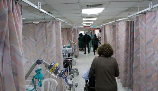 צילום: אסף פרידמן