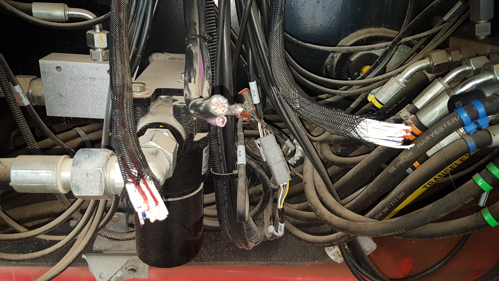 צילום: דוברות משטרת ישראל