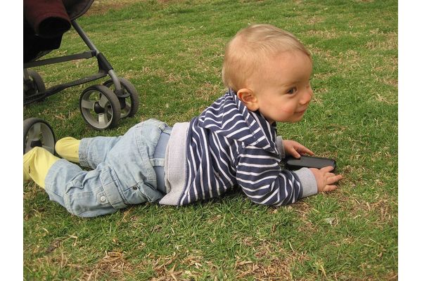 צילום: &#39;ויקיפדיה&#39;