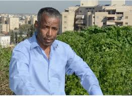 צילום: ארכיון