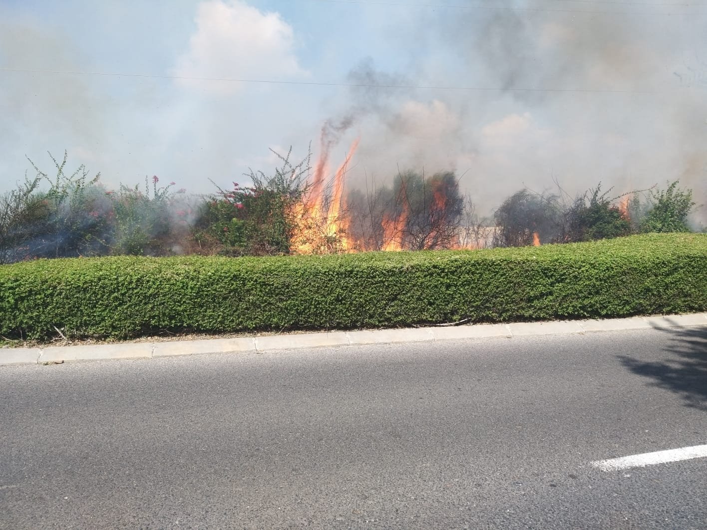 צילום: דוד מטודי