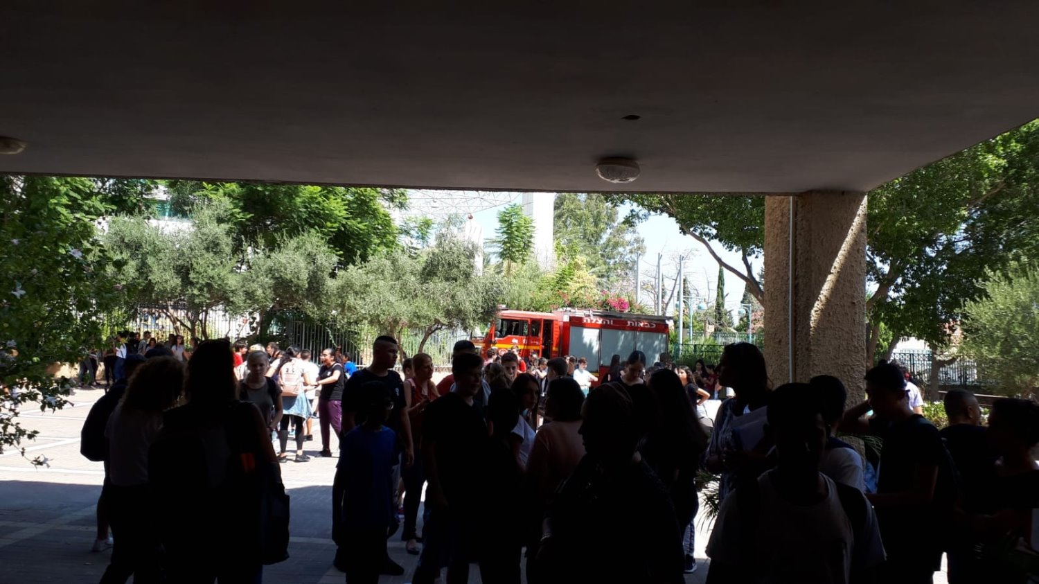 &#39;גינסבורג&#39;, לפני דקות אחדות