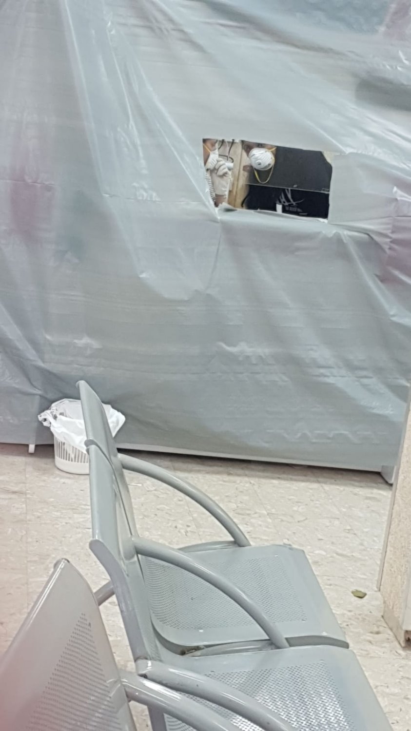 צילום: גילה לוי