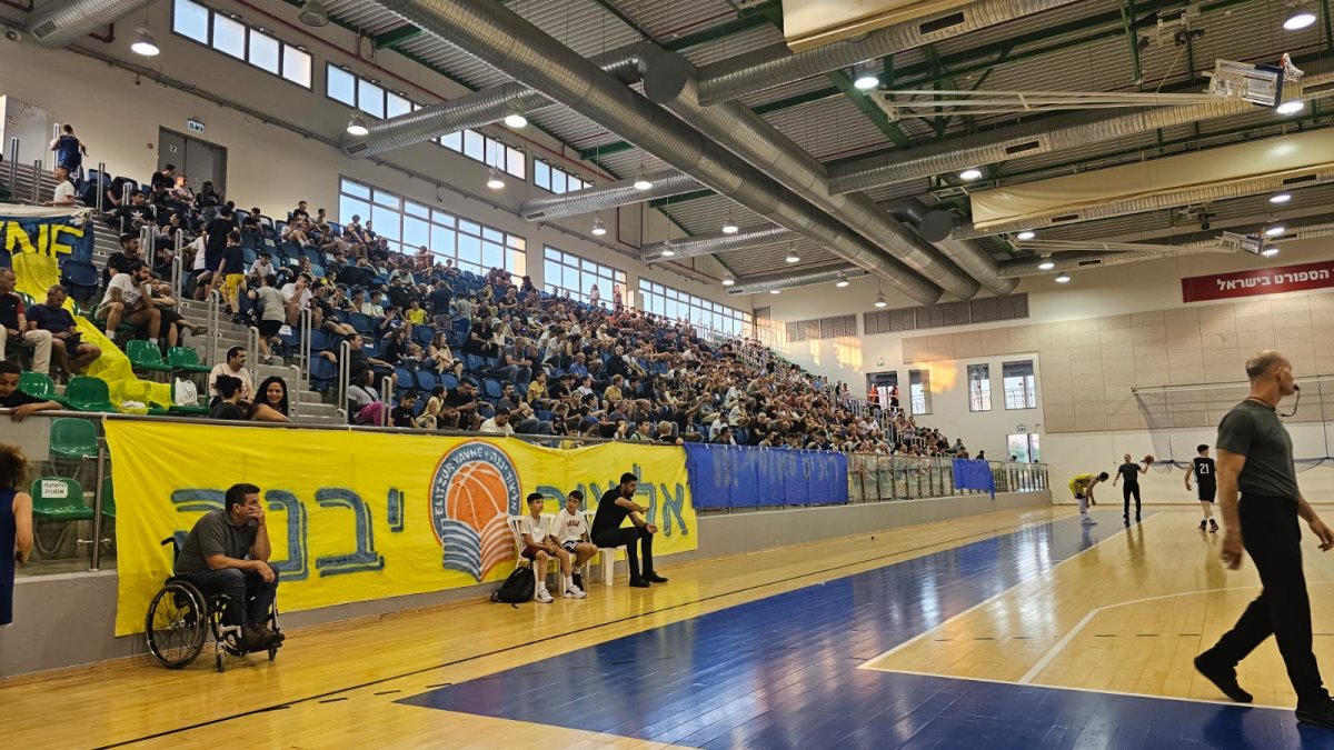 אוהד אליצור