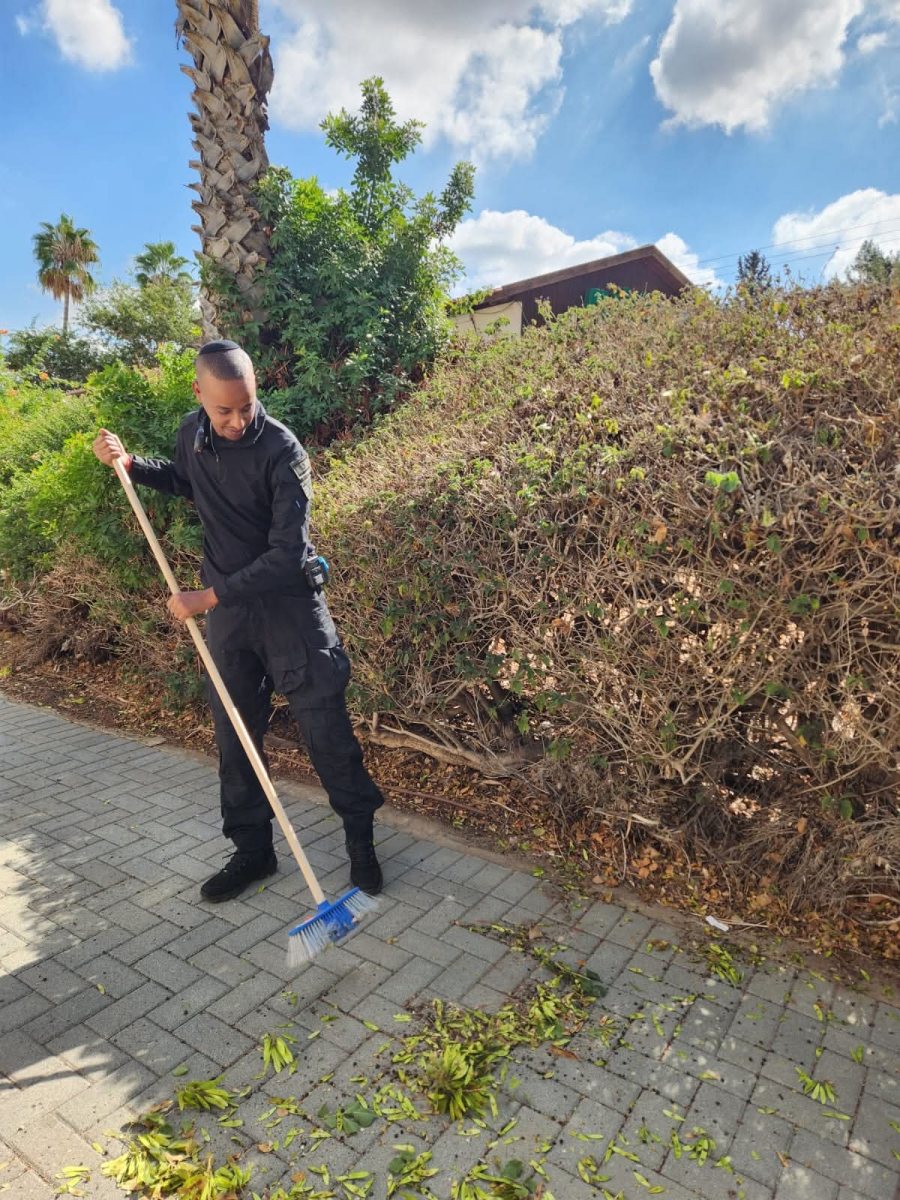 עיריית יבנה