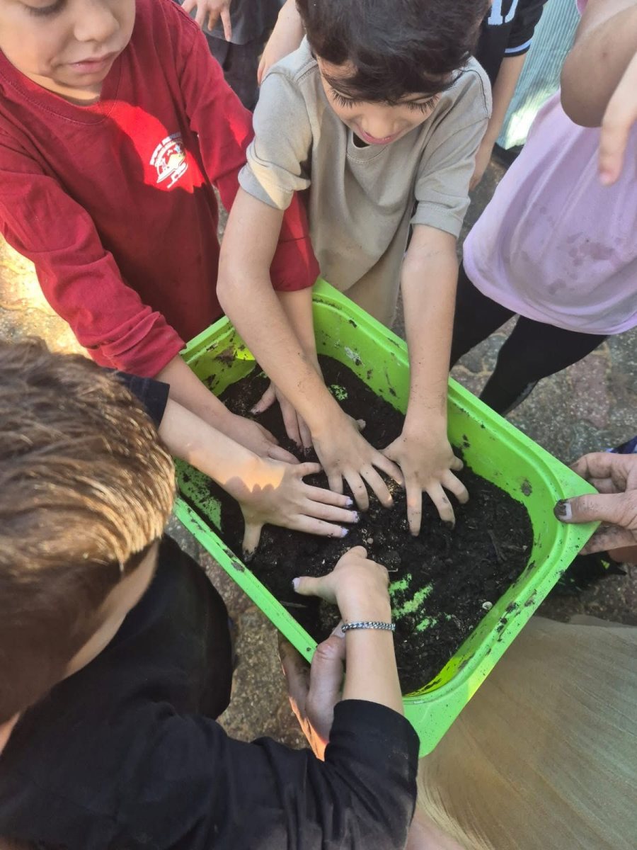 עיריית יבנה 
