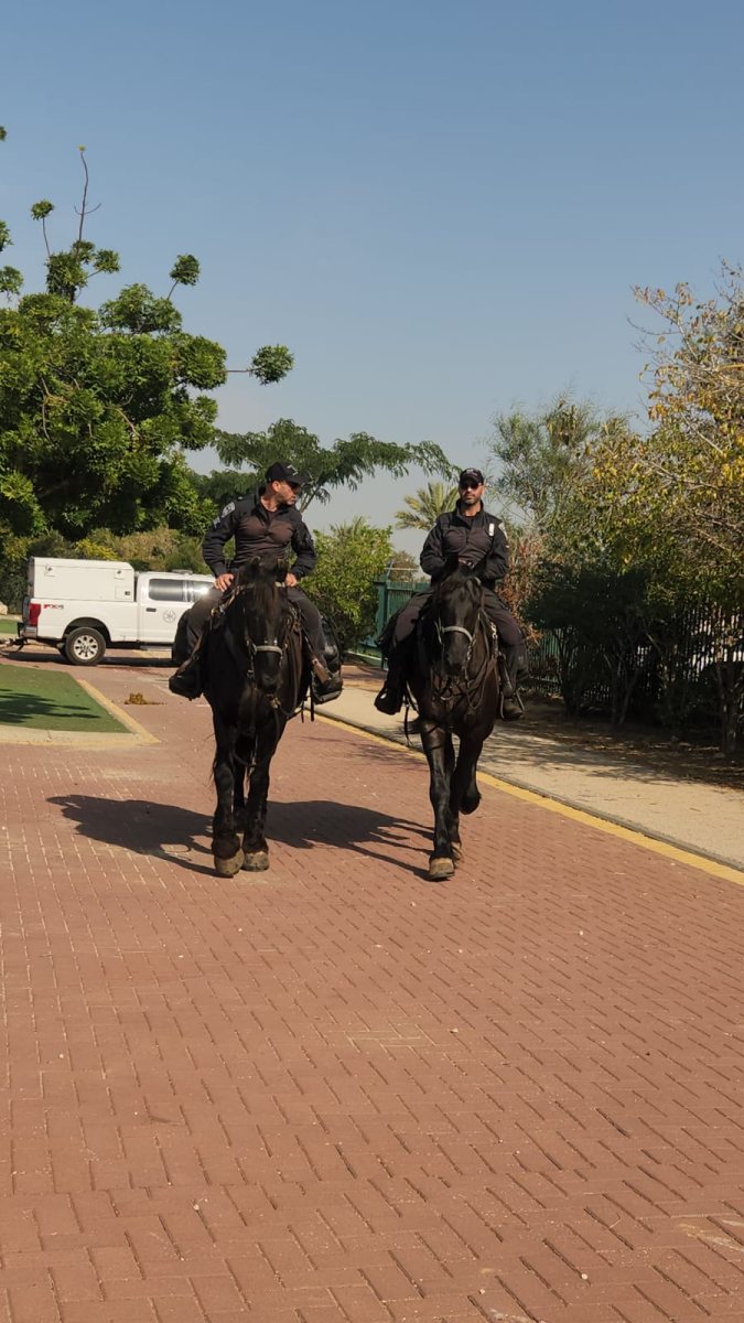 עיריית יבנה