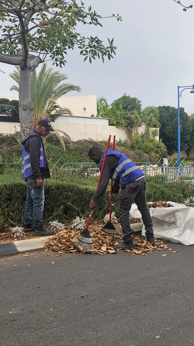 עיריית יבנה