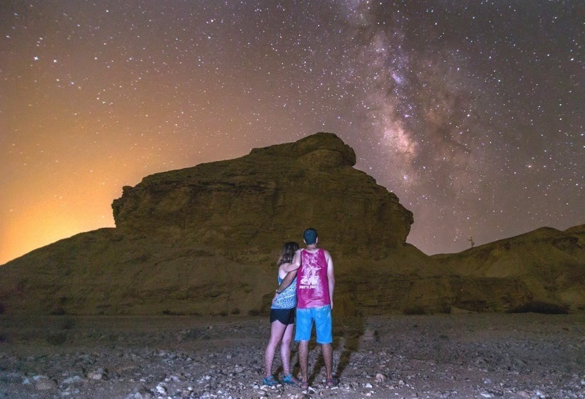 פטריית הבורג נחל עשוש - צילום- יונתן אליכיס