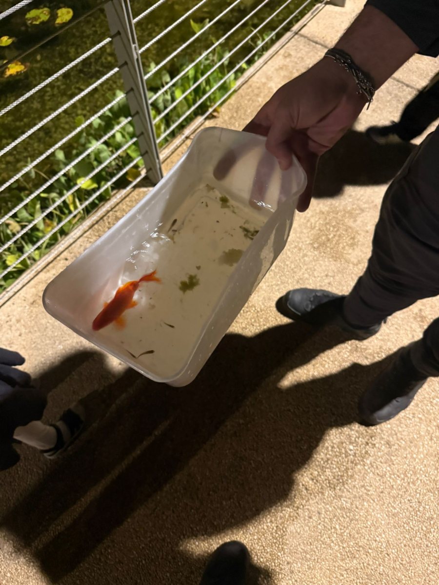 עיריית יבנה