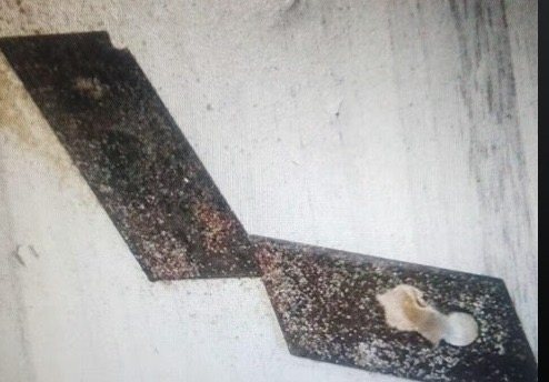 דוברות משטרה