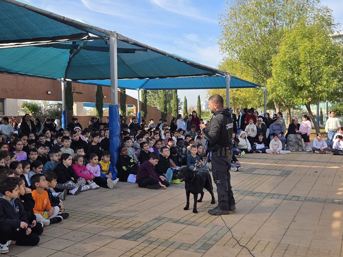 עיריית יבנה