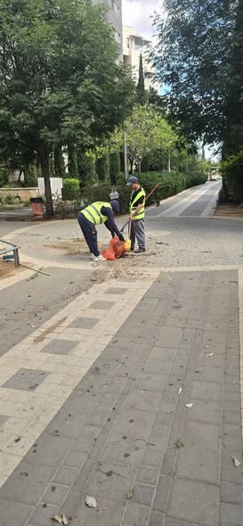 עיריית יבנה