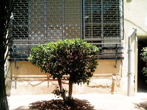 סורגי הבית. דרכם ירה בתוקף