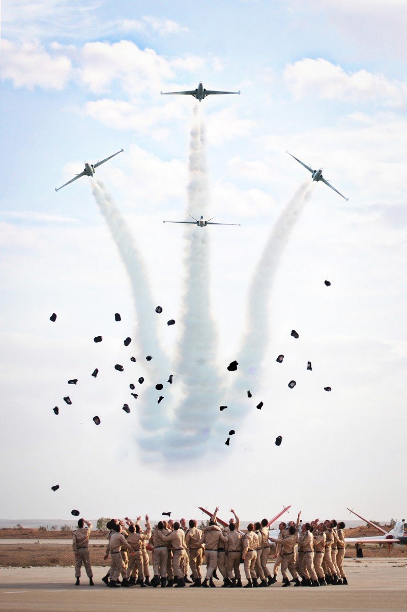 מסדר כנפיים, השבוע