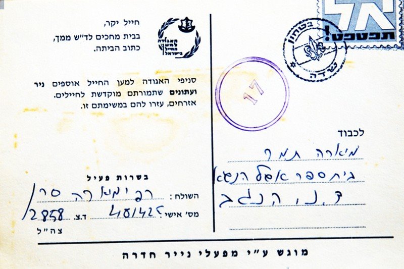 גלויה מרפי לתמר