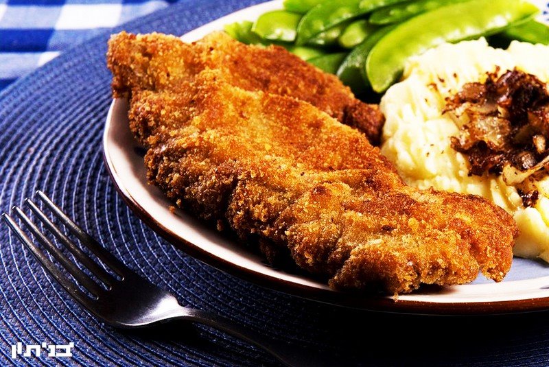 שניצל וינאי. צילום מורן זית מתוך הספר